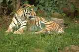 leipzig zoo-01_07_2011_zoo_allgemein_187